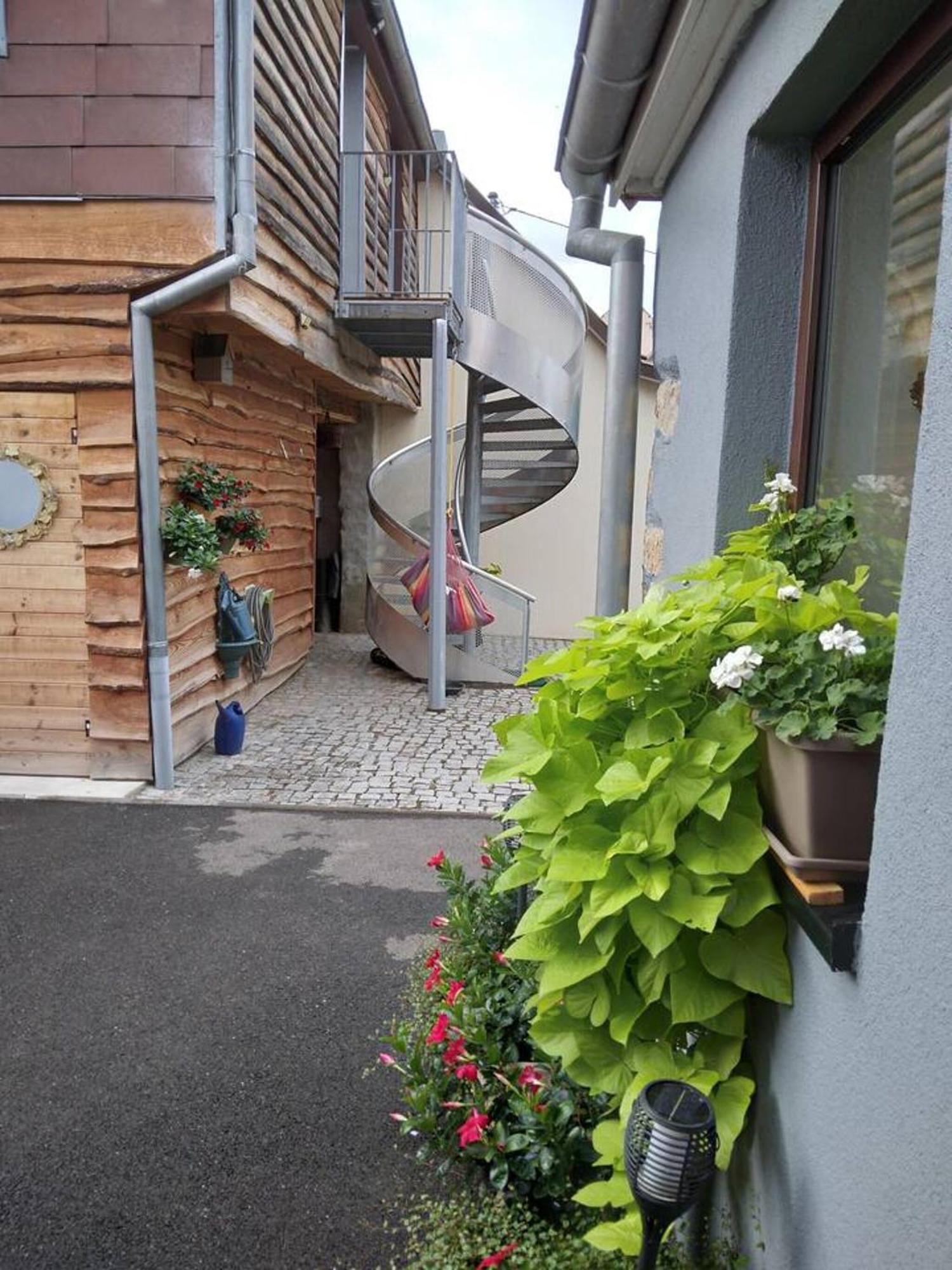 Appartement Cosy Wintzenheim + Terrasse Eksteriør billede