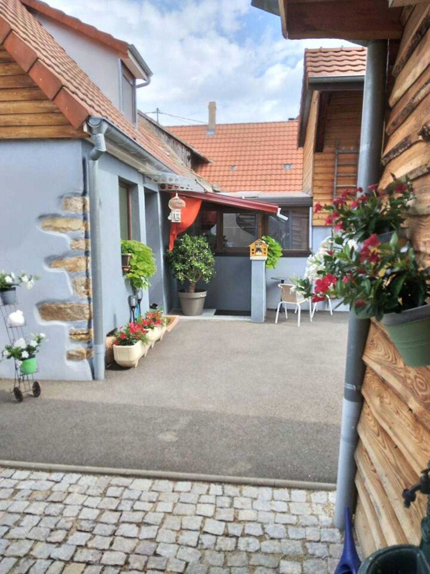 Appartement Cosy Wintzenheim + Terrasse Eksteriør billede