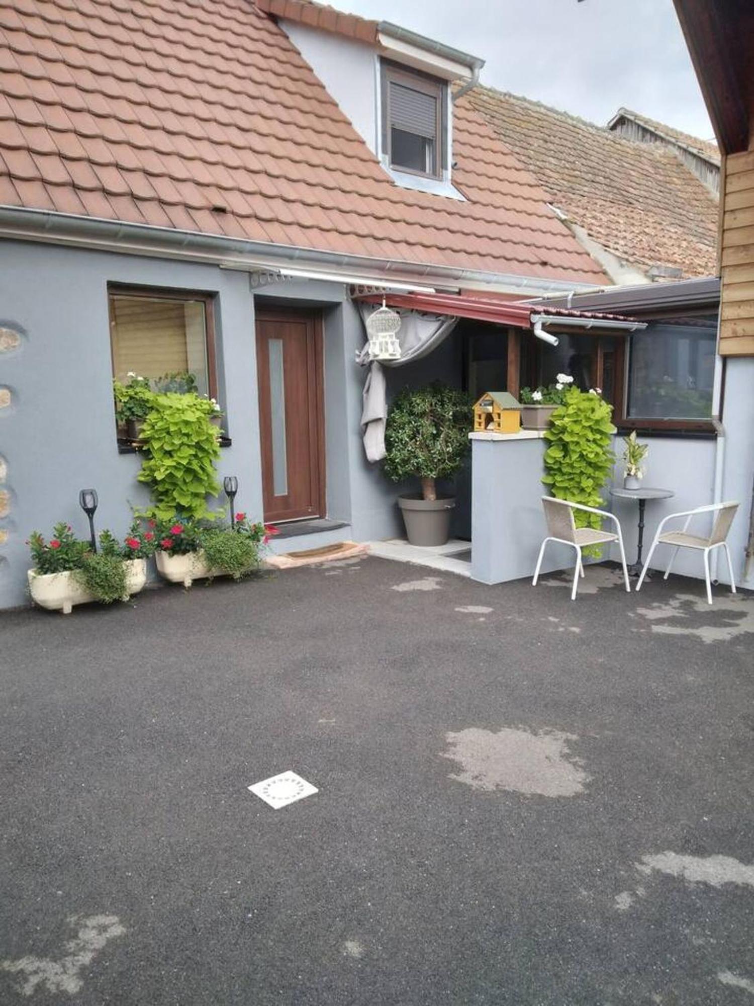 Appartement Cosy Wintzenheim + Terrasse Eksteriør billede
